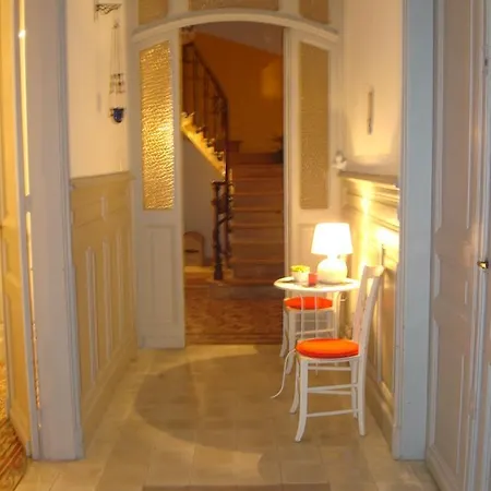 Maison Velvet